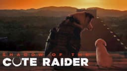 Shadow of the Cute Raider - Tomb Raider | Clapboard Ad Archive — archive collection thumbnail