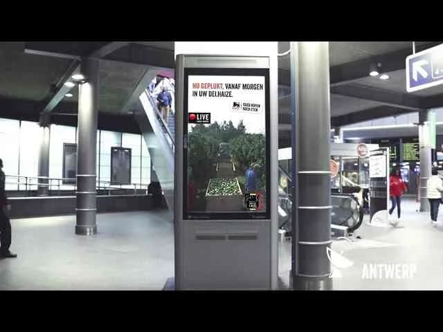 Live harvest - Delhaize | Clapboard Ad Archive