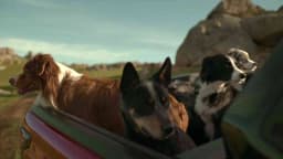 The Pied Piper - Toyota Australia | Clapboard Ad Archive — archive collection thumbnail
