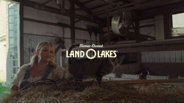 Bovine Serenade - Land O’Lakes | Clapboard Ad Archive