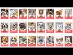 Hill's Science Diet Yummy Face Maker Turns Pet Joy Into a Digital Moment — archive collection thumbnail