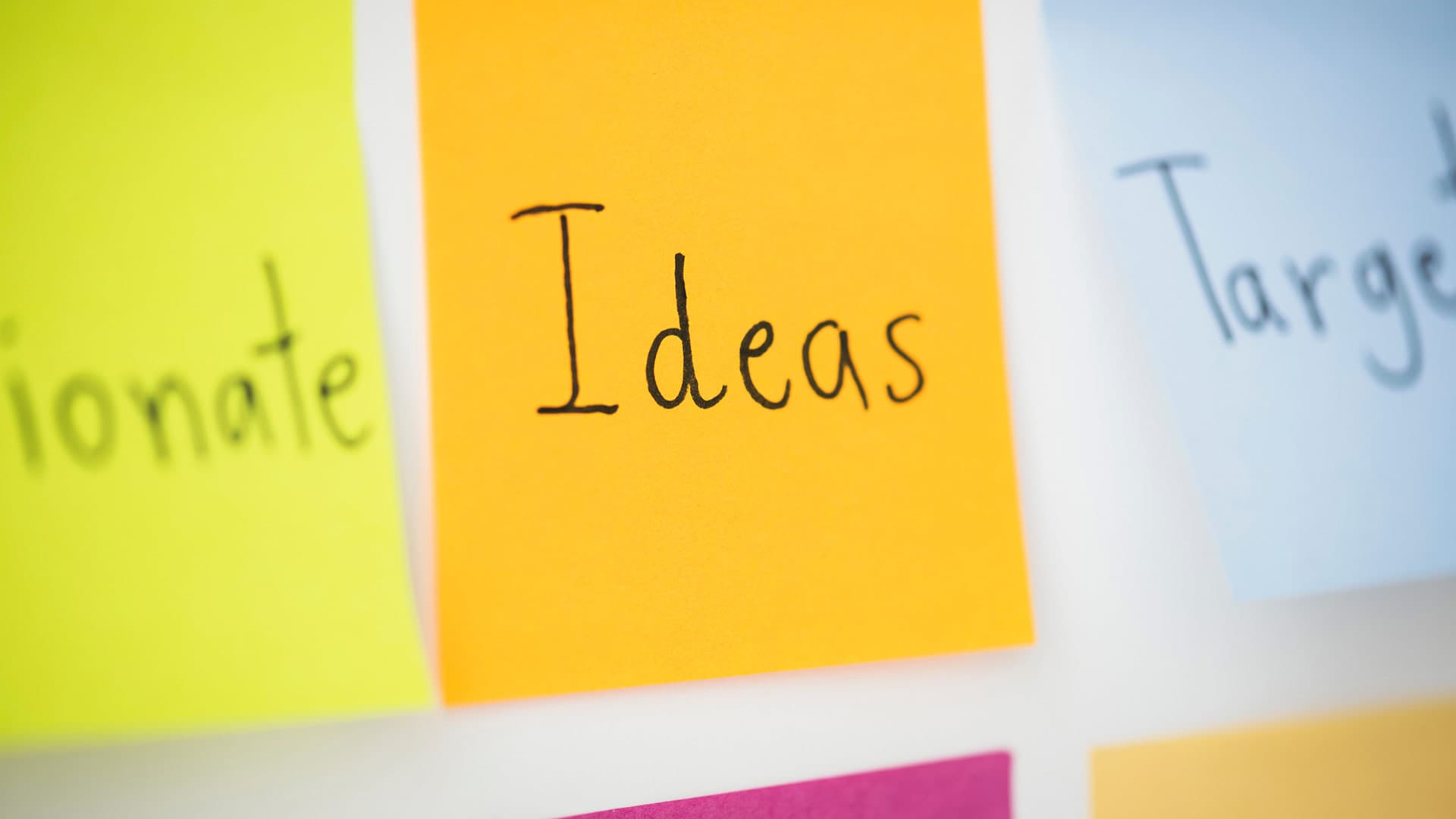 Brand Advocacy Program Strategy: Building Authentic Champions for Your Brand